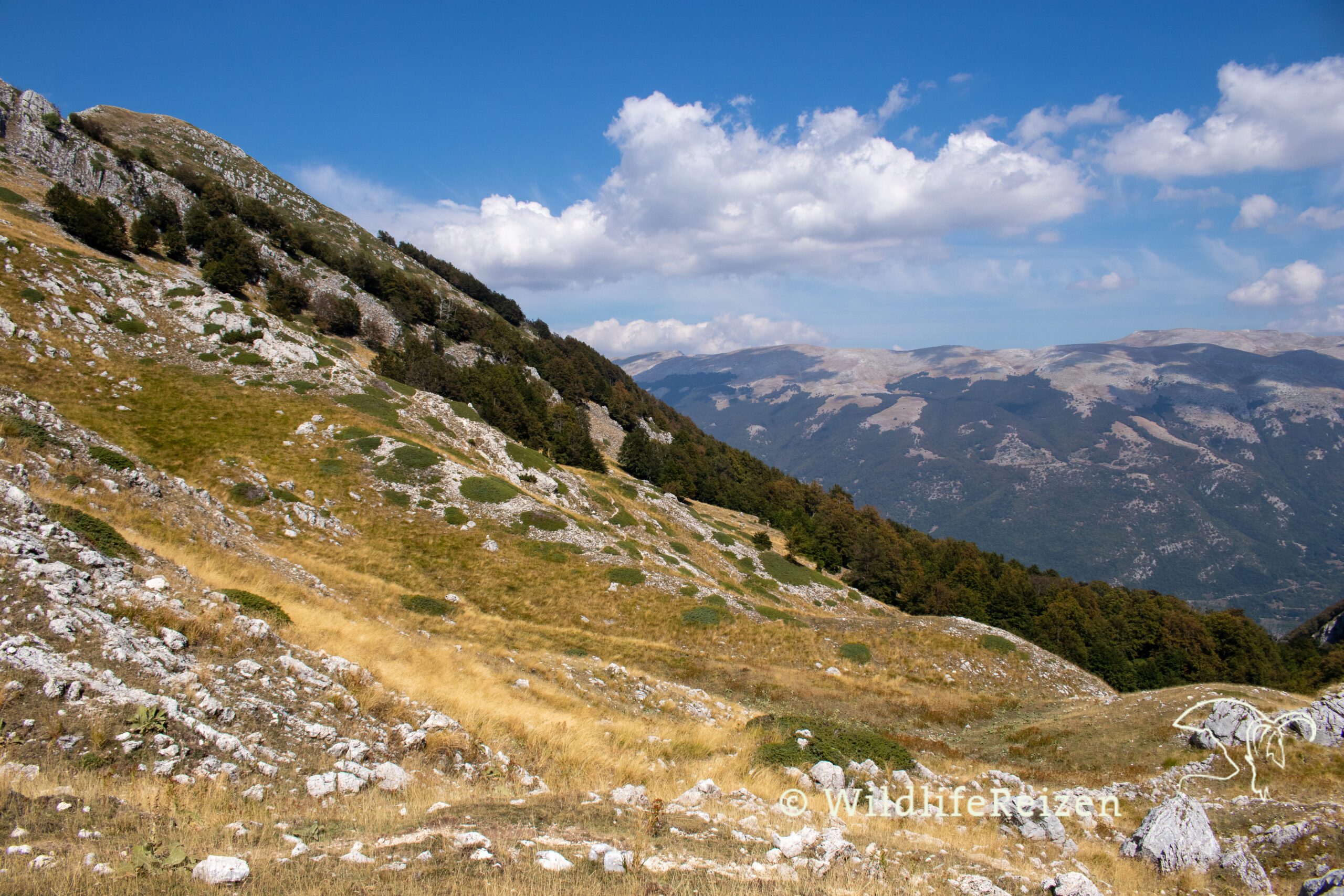 Een uitzicht van de bergen in nationaal park d'Abruzzo, Lazio e Molise, in Italië