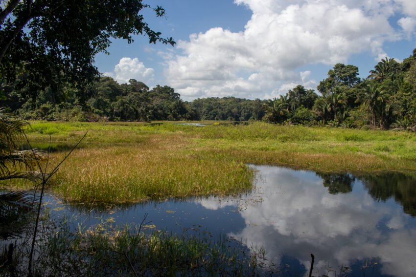 Calamito Lake, Soberania nationaal park