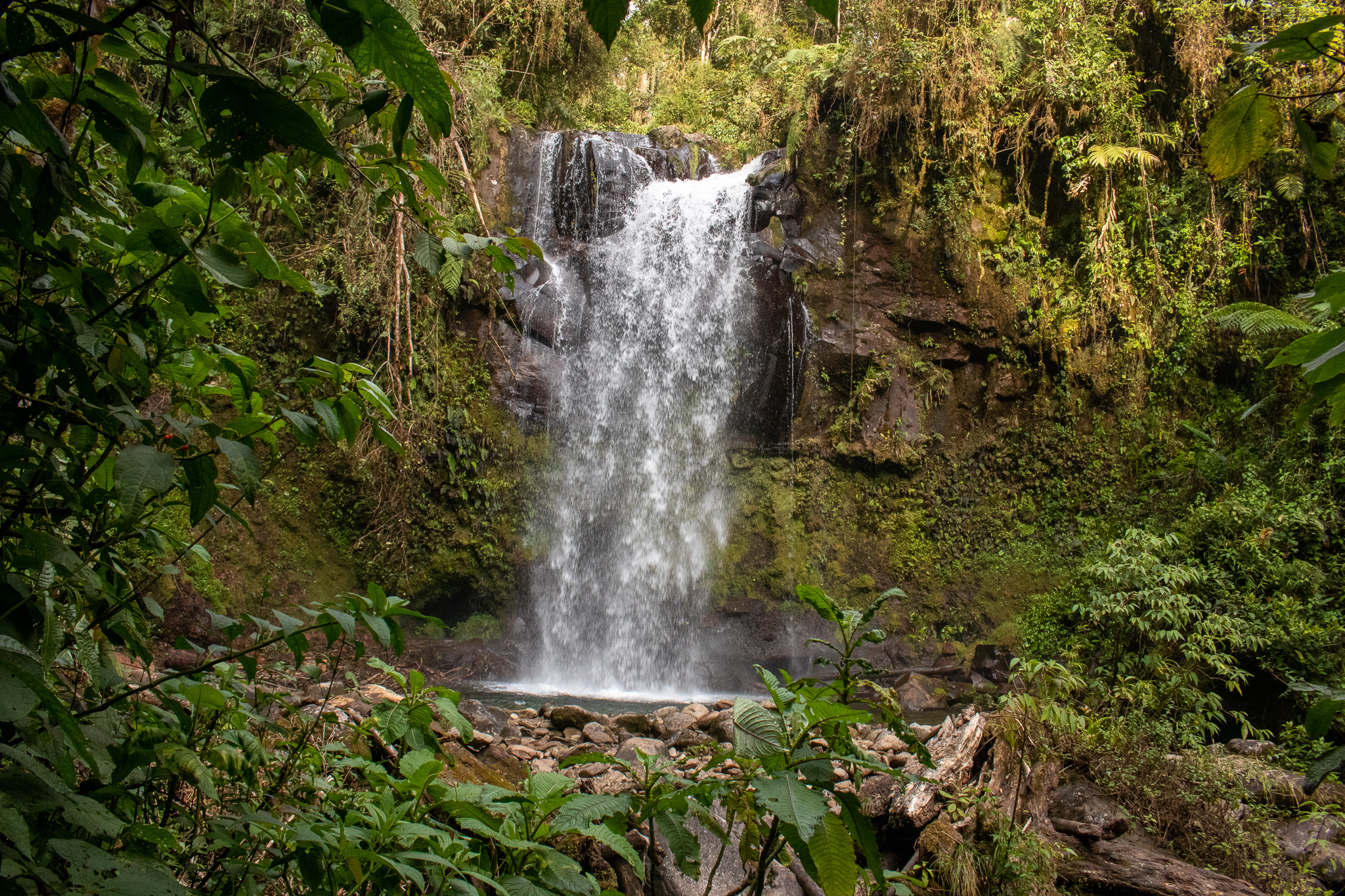 Een van de drie watervallen bij los tres cascadas, de natuur in Panama