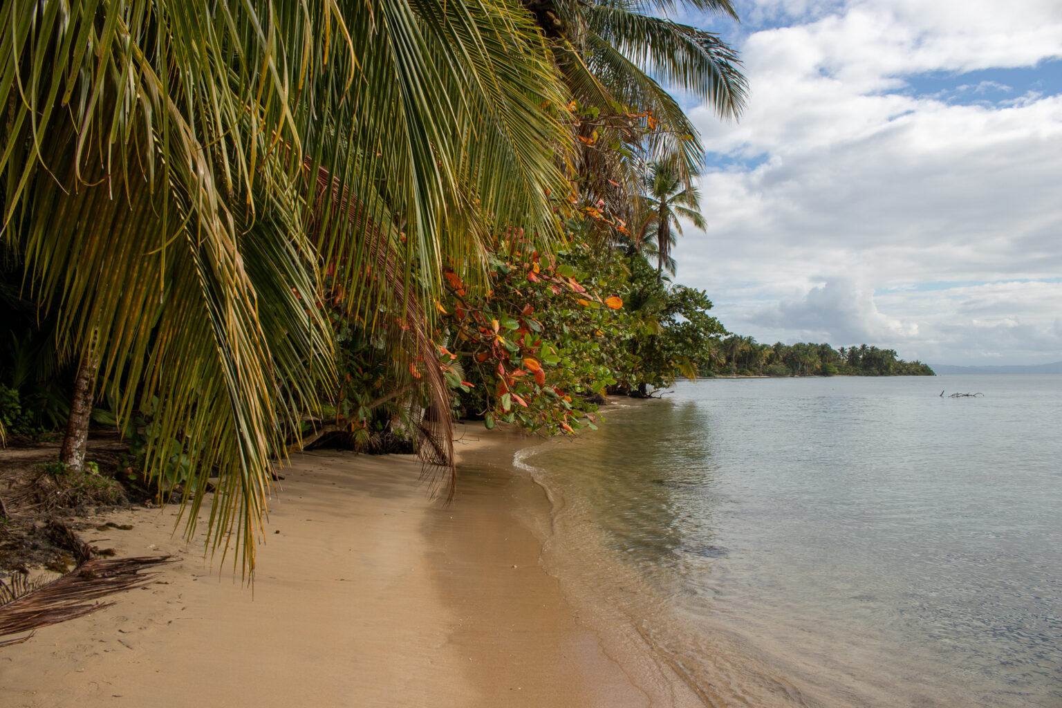 de-entry-fee-suriname-een-eenvoudige-manier-om-deze-groene-parel-te