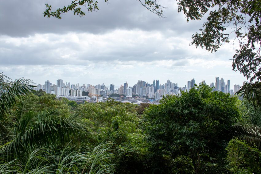 Parque Natural Metropolitan