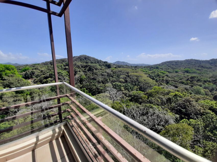 Uitzicht over de jungle, summit rainforest and golf resort