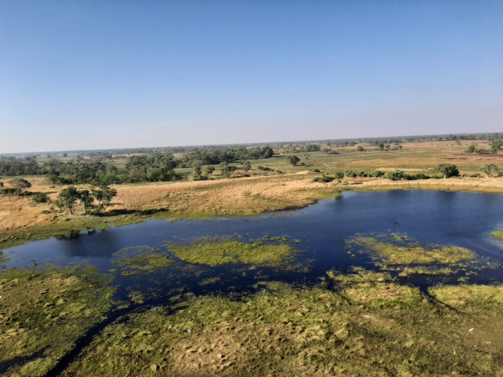 De okavango delta van boven