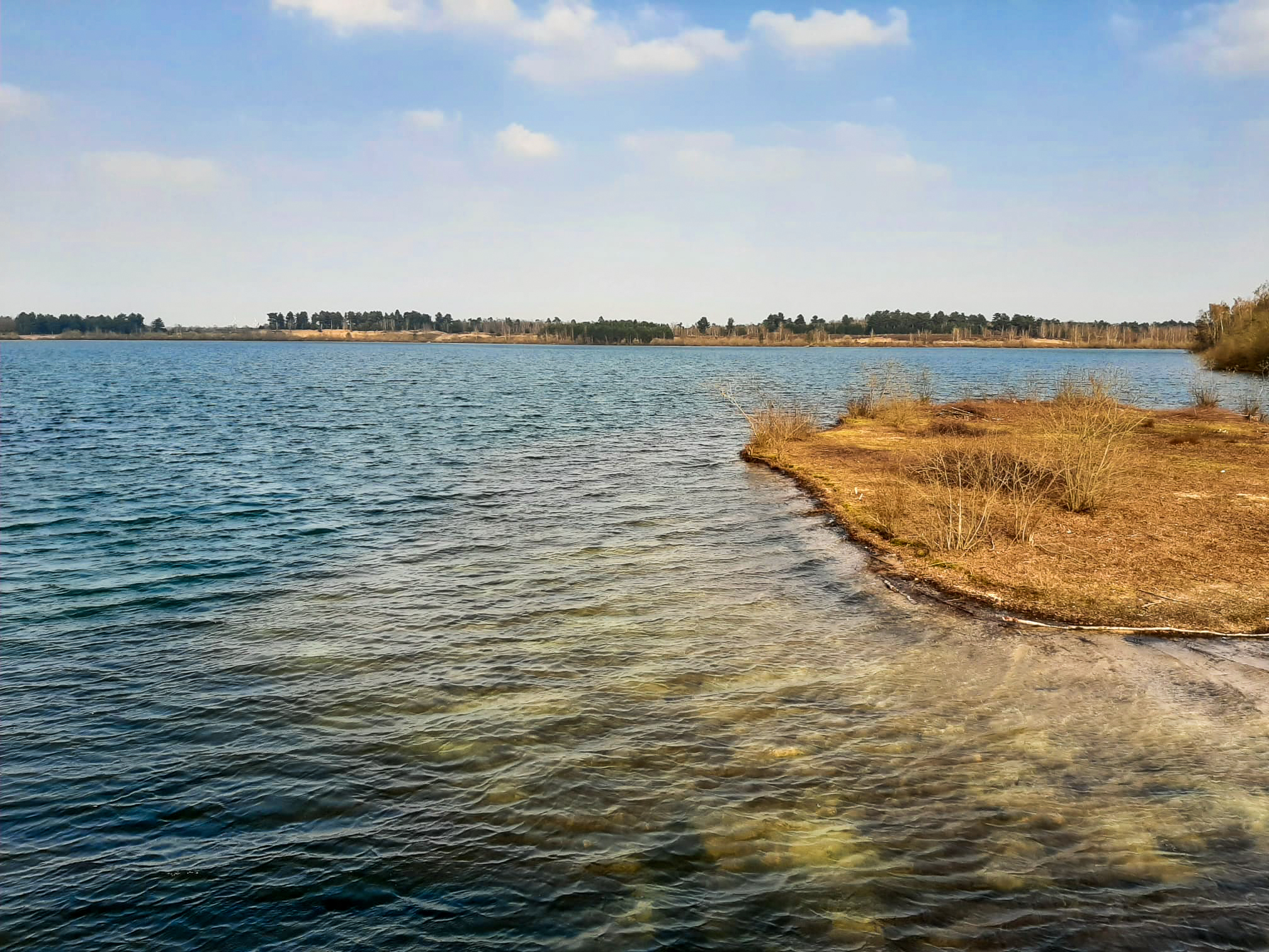 Het kraakheldere water van het Reindersmeer, nationaal park de maasduinen