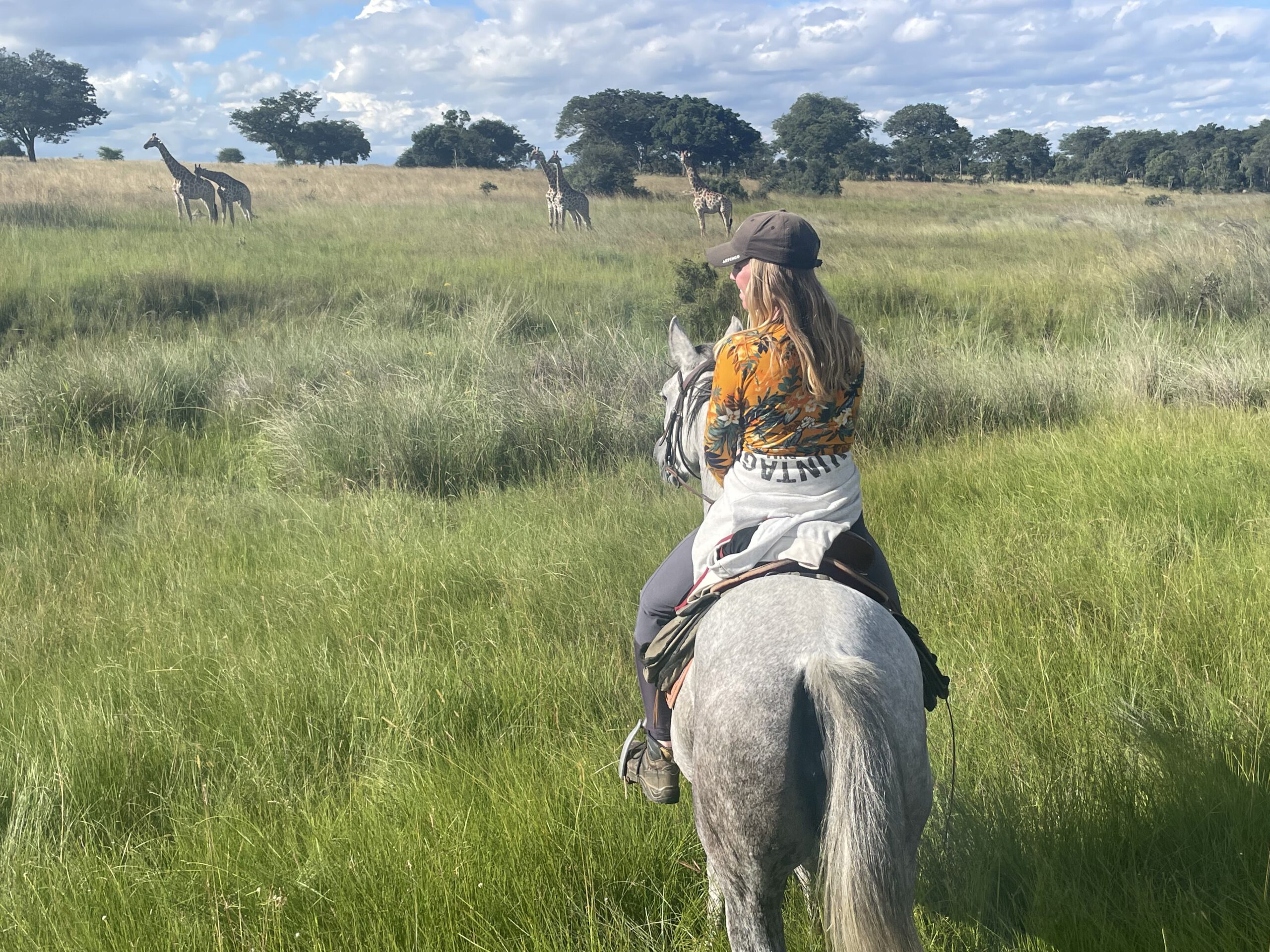 Hoe paarden bijdragen aan natuurbehoud in Zuidelijk Afrika