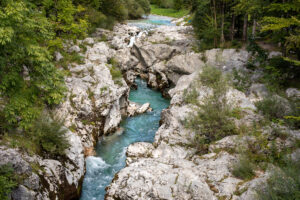 Wildlife top 10 van Slovenië