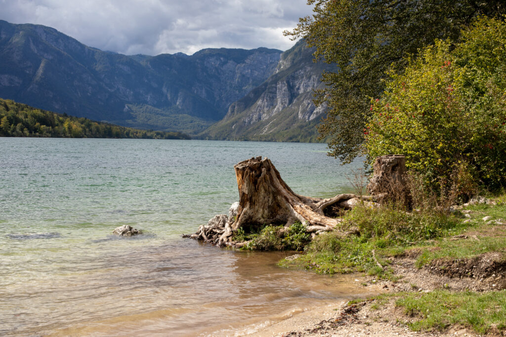 Het grootste meer van Slovenië, het meer van Bohinj
