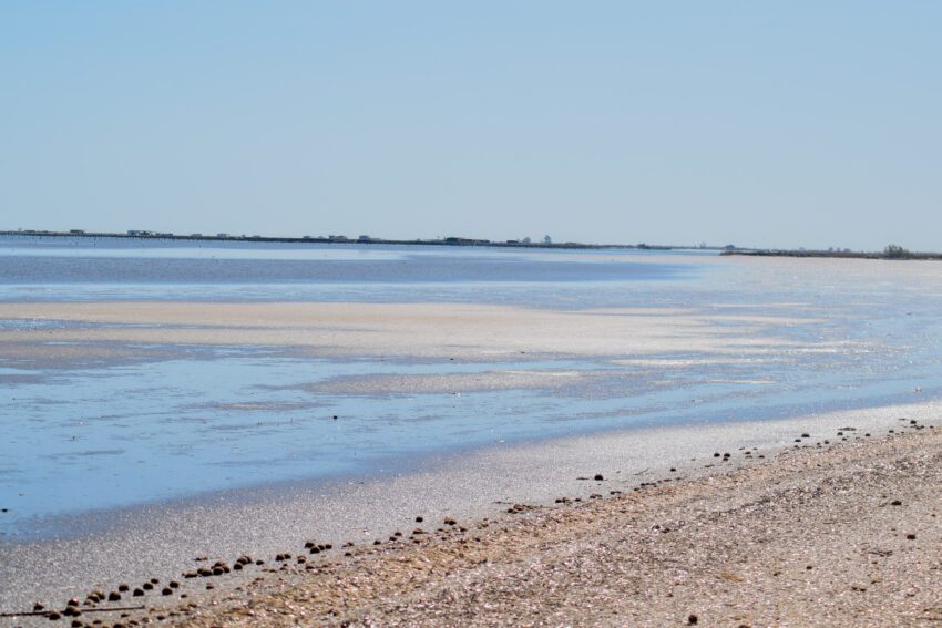 De Ebro Delta