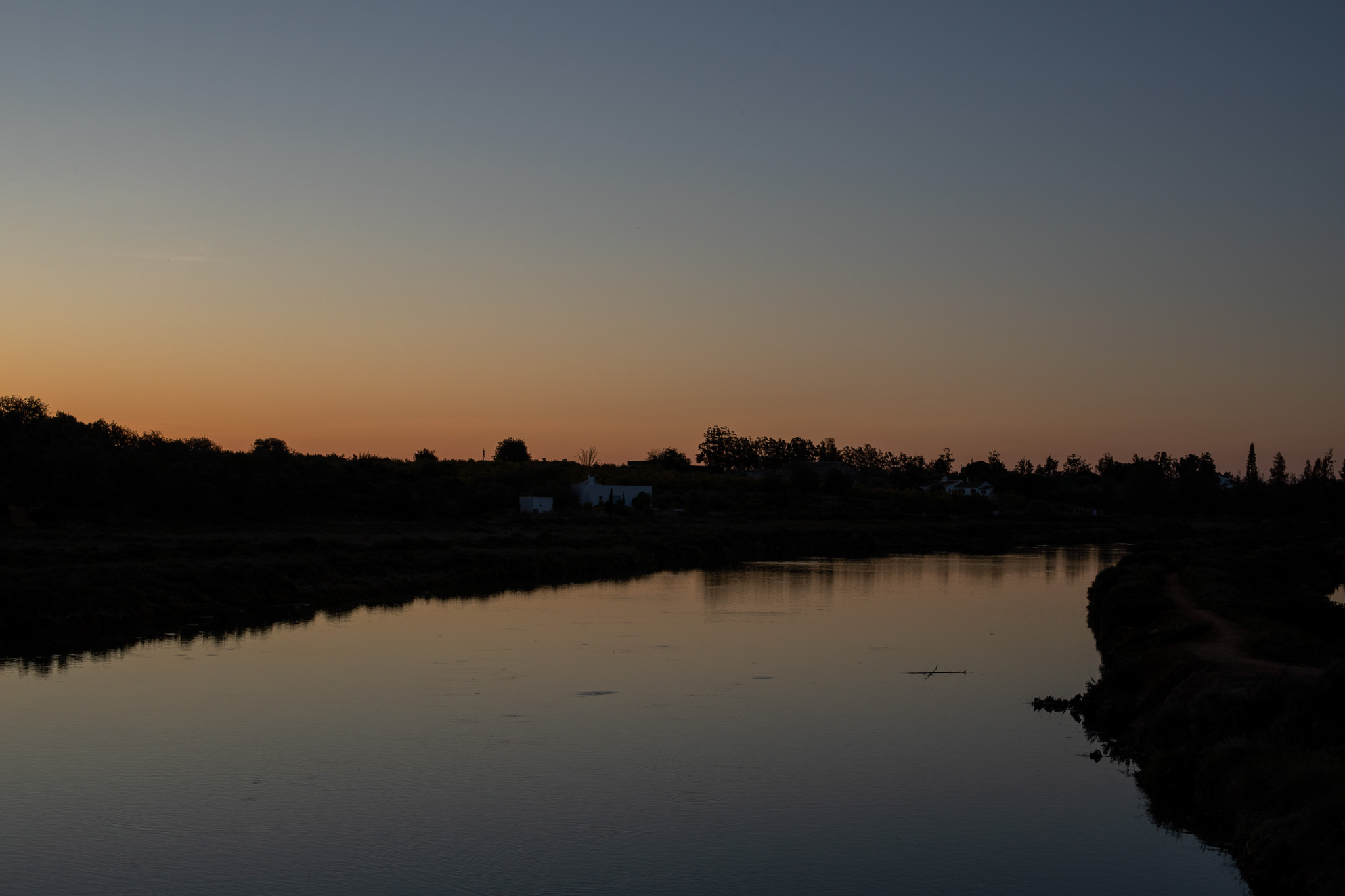 Parque natural da Ria Formosa - Wildlifereizen