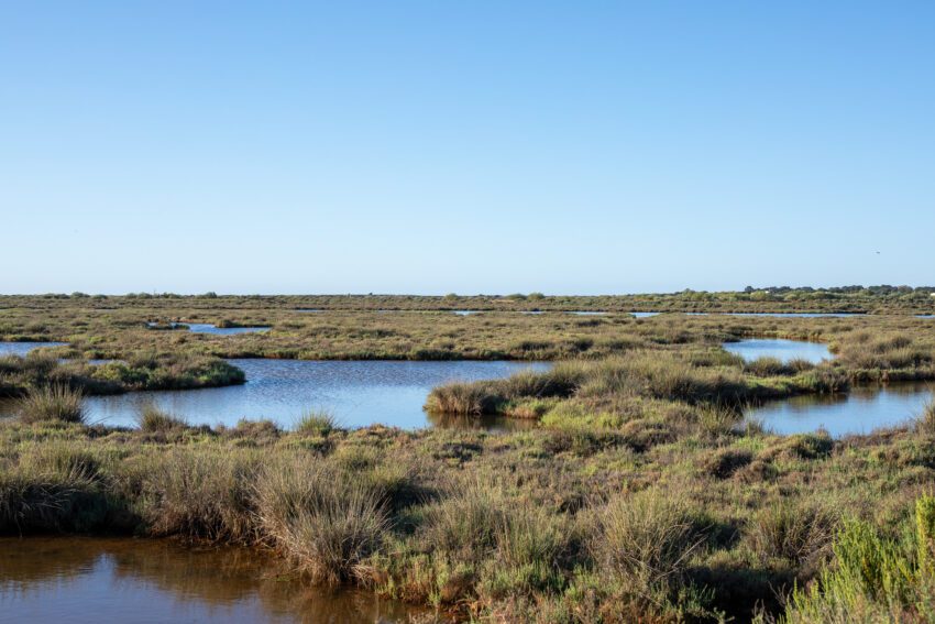 Ria Formosa in Portugal