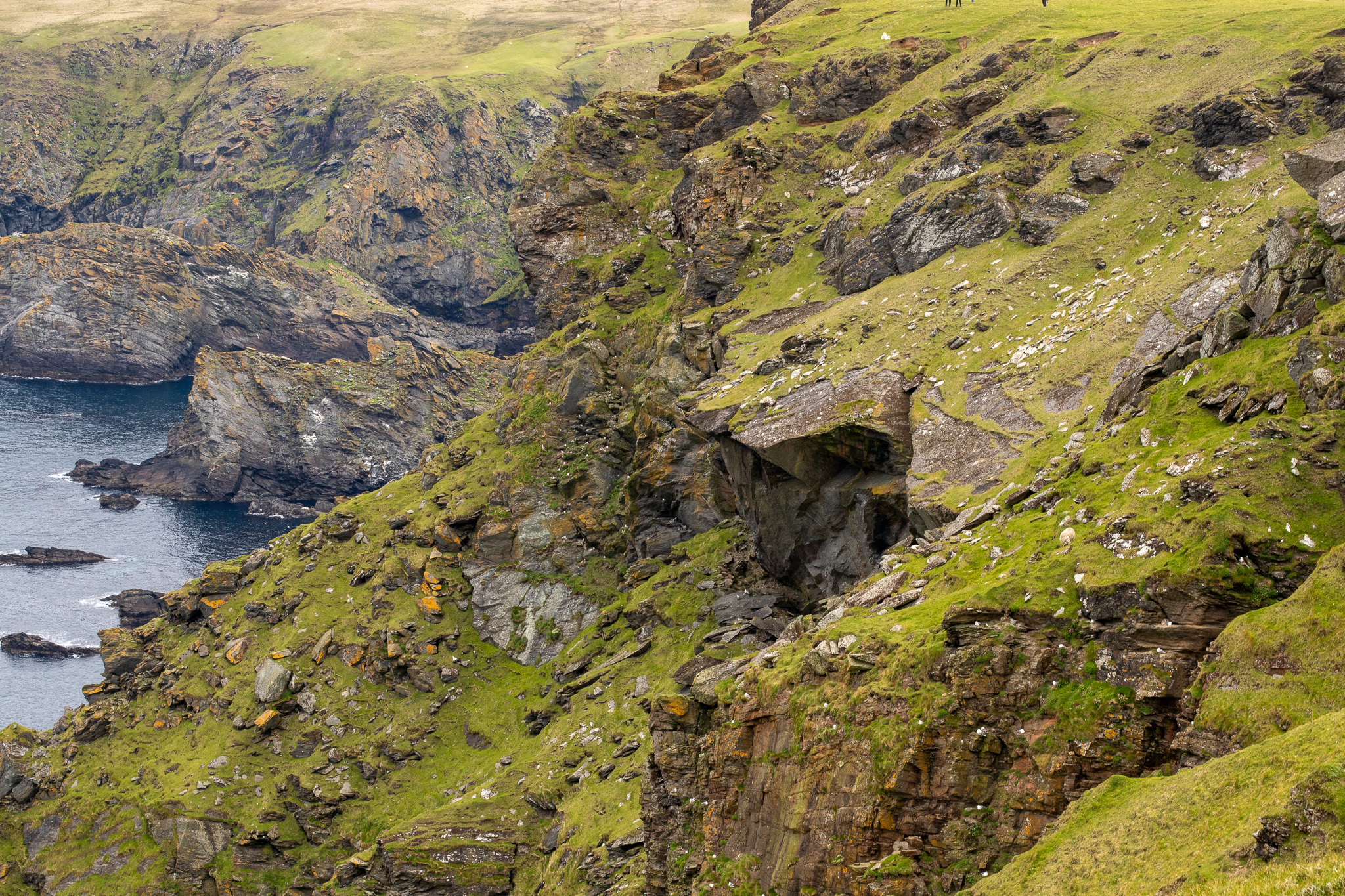 Uitzicht van Hermaness national nature reserve. Natuur op de Shetlandeilanden