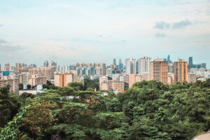 Uitzicht over Singapore vanuit een van de mooiste natuurparken van Singapore