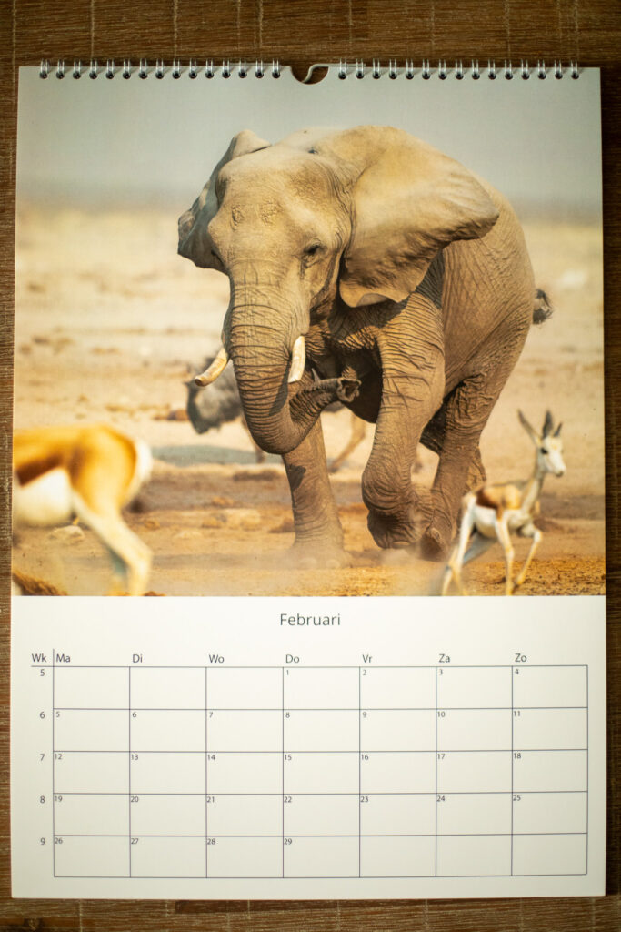 Februari in de Wildlifereizen kalender 2024