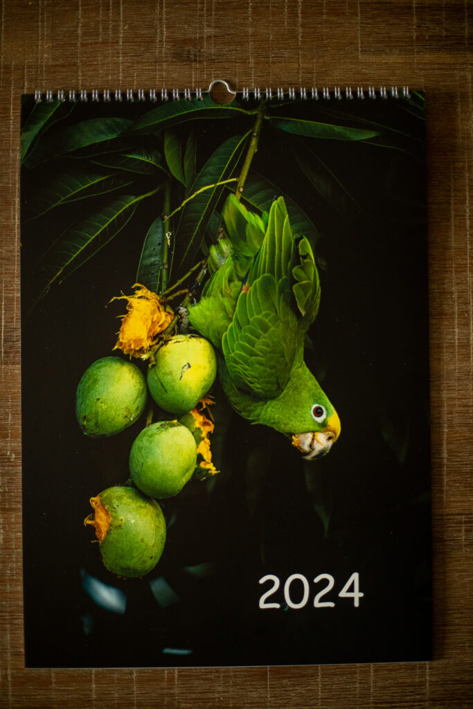De voorkant van de Wildlifereizen kalender 2024