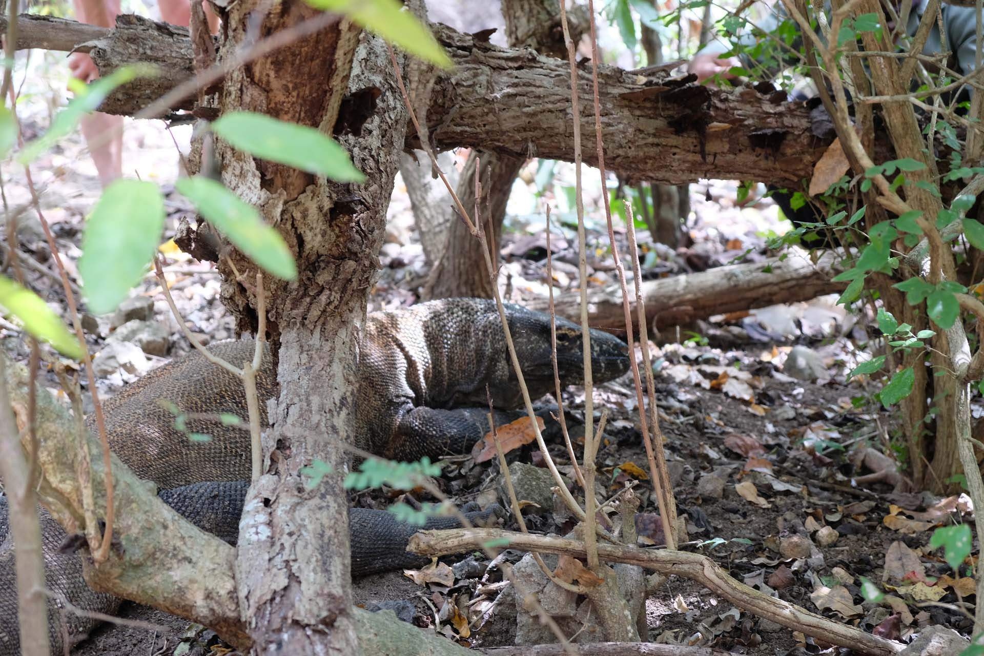 Geographic coordinate system visual data 2