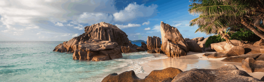 Wilde dieren op de Seychellen