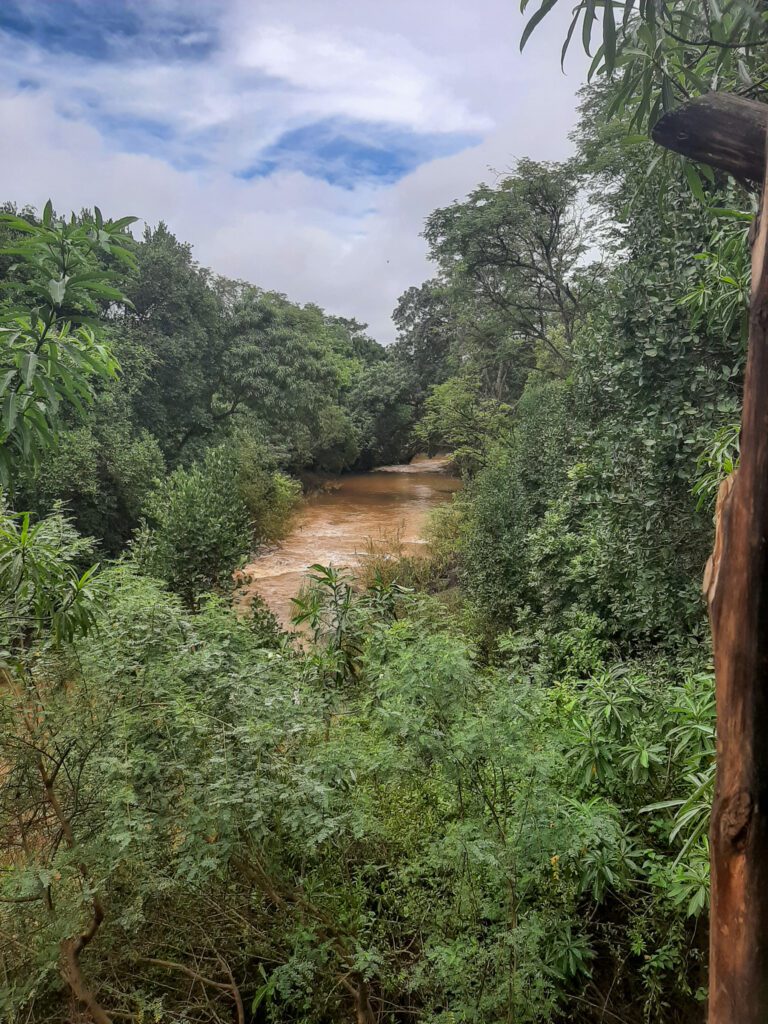 Uitzicht tijdens een wandeling in het Lilongwe Wildlife Centre