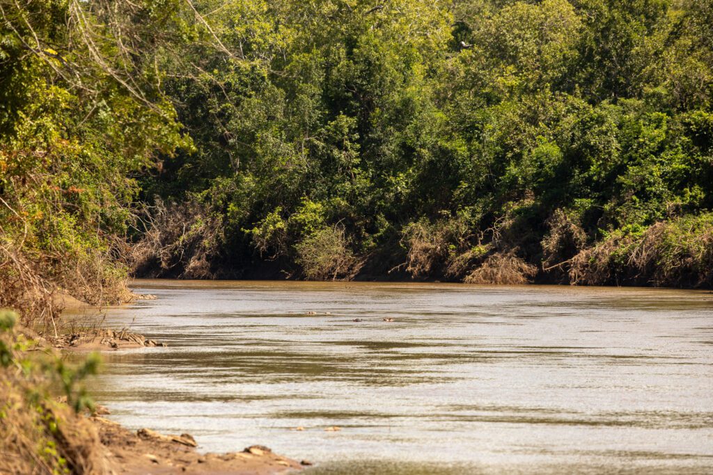 De Bua rivier in het Nkhotakota wildlife reserve