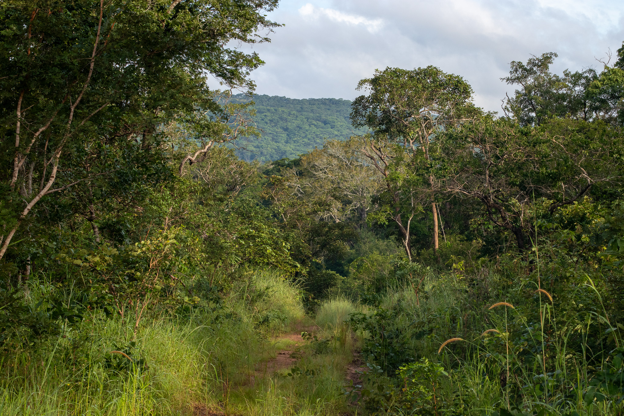 Uitzicht tijdens een wandeling in Nkhotakota wildlife reserve vanaf Tongole Wilderness retreat