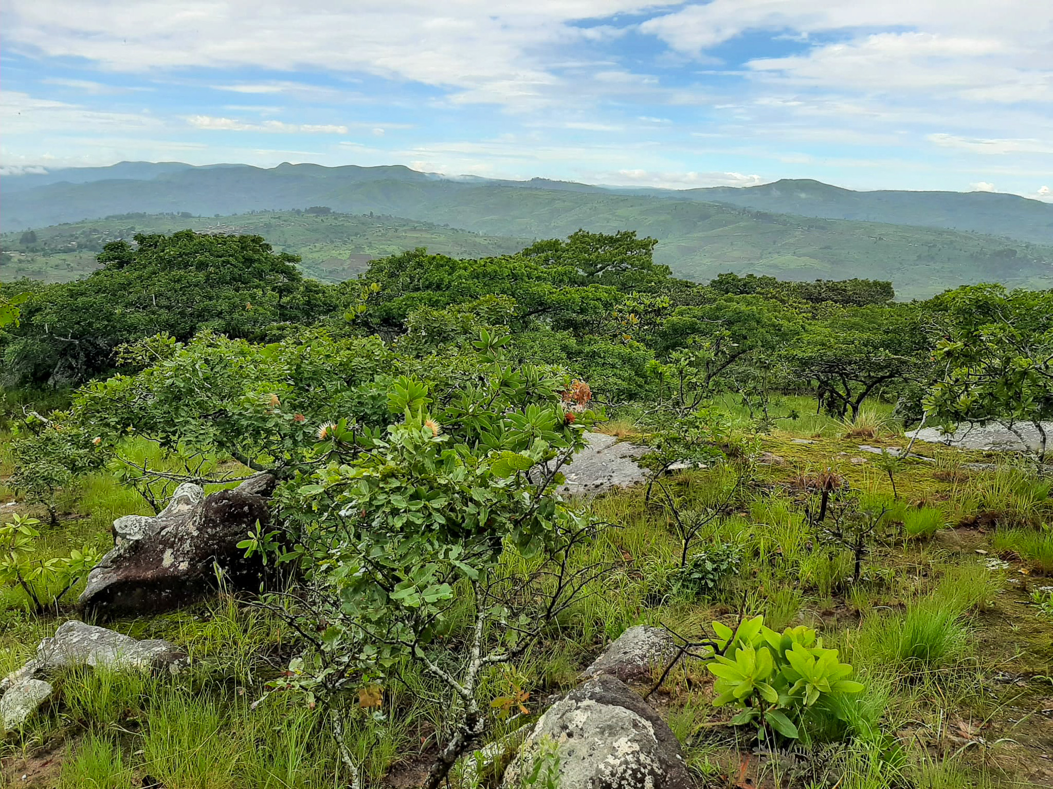 Ntchisi Forest Reserve