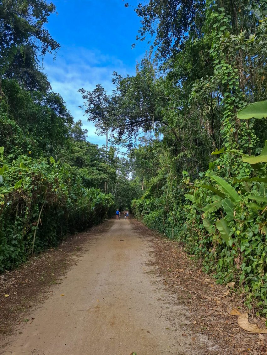 Peperpot Nature Park: De Surinaamse jungle op steenworp afstand van ...