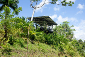 View point Maze Lodge