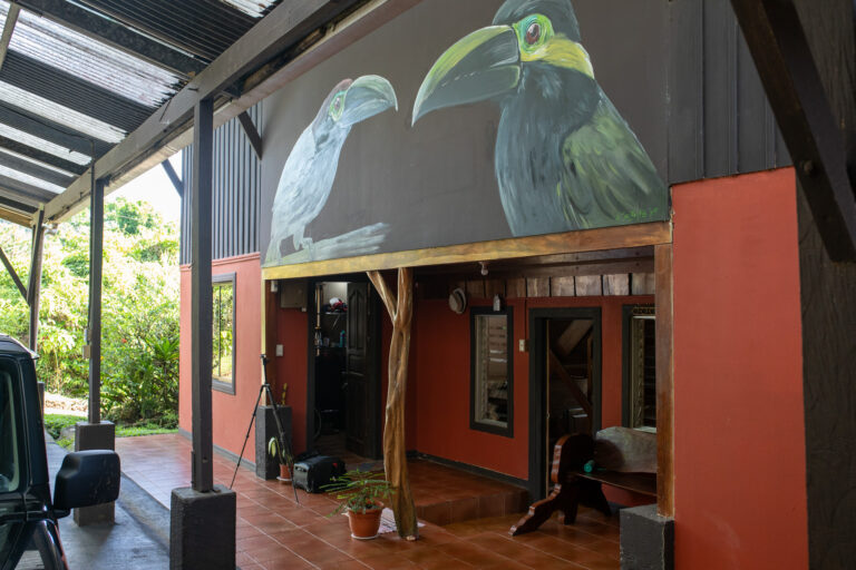 Muurschilderingen bij Birds & Breakfast