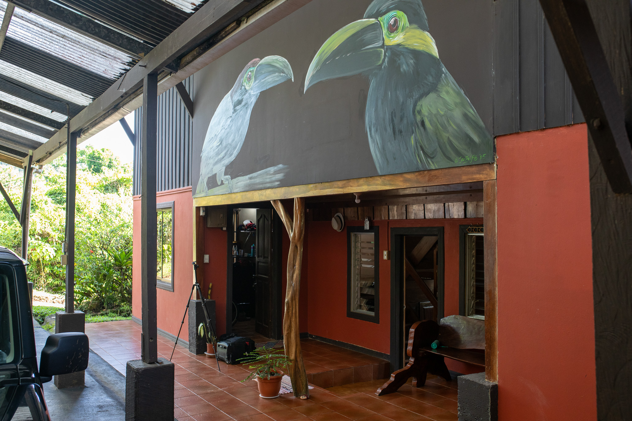 Muurschilderingen bij Birds & Breakfast