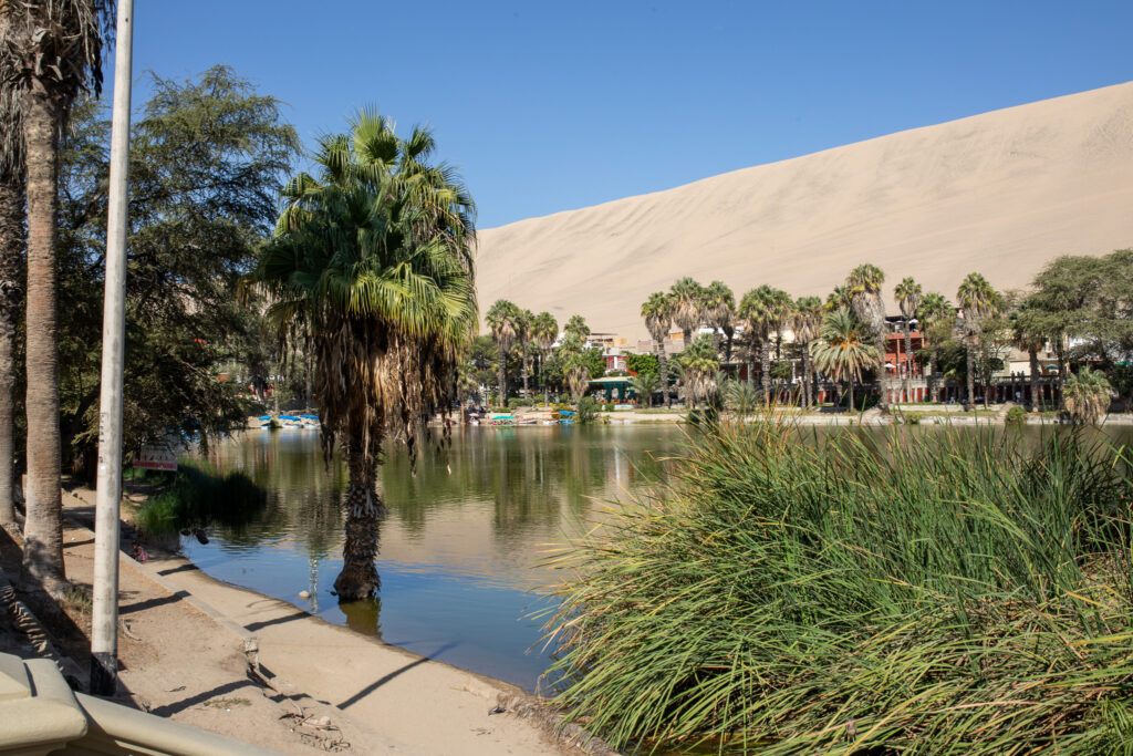 De oase van Huacachina